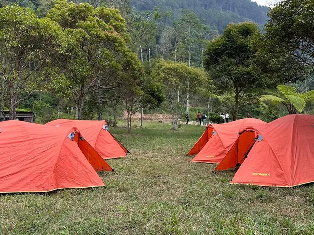 Area Camping Ground Embung Balong dengan tenda dan pemandangan alam asri